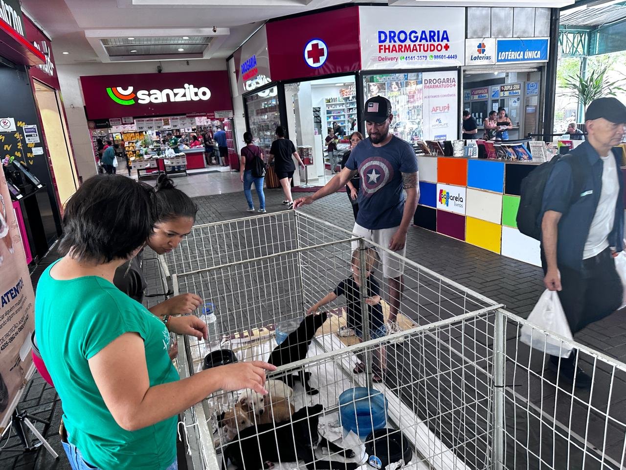 Confira as Feiras de Adoção Pet no Ita Shopping em novembro e dezembro